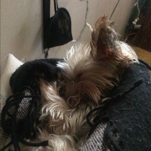 Meet your Posher, Broughton